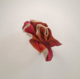 Ivory/Fuschia